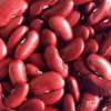 Stambonen  Red Kidney 