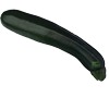 Courgette Black Beauty 