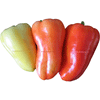 Paprika Pusztagold 