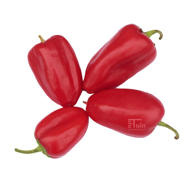 Paprika  Snack Rood