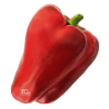 Paprika  King of the North 
