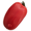 Tomaten Roma VF - Kas en buitenteelt 