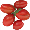 Tomaten Roma Snack- Kasteelt