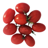 Tomaten Struik - Buitenteelt 