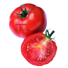 Tomaten St. Pierre - Kas en buitenteelt 