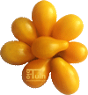 Tomaten Yellow Pear - Kasteelt