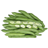 Tuinboon Leidse Hangers 