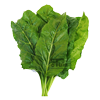 Snijbiet groen / Warmoes